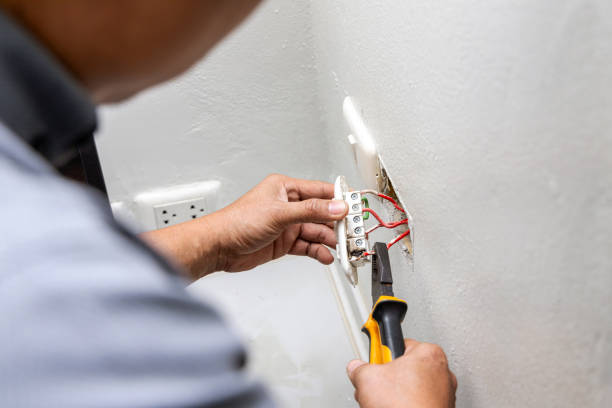 Best Generator Installation Services  in Grant Park, IL